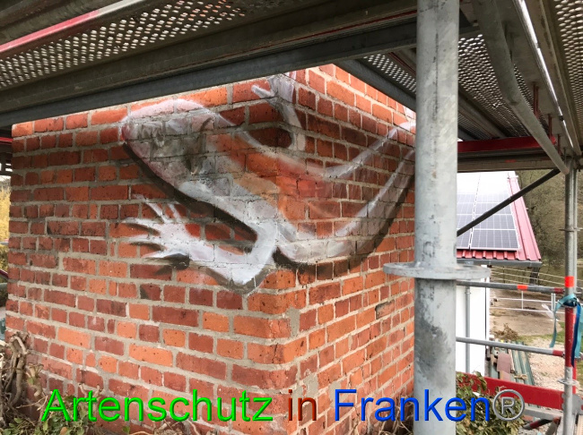 Bild zum Eintrag (1046605-160)
