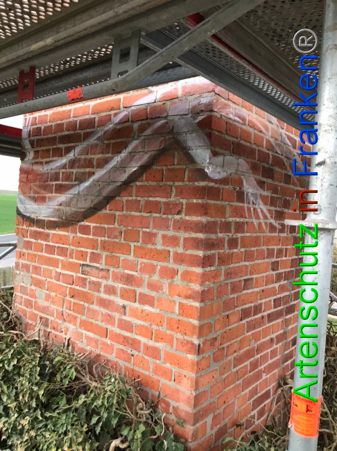 Bild zum Eintrag (1046606-160)
