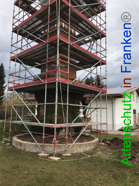 Bild zum Eintrag (1046607-160)