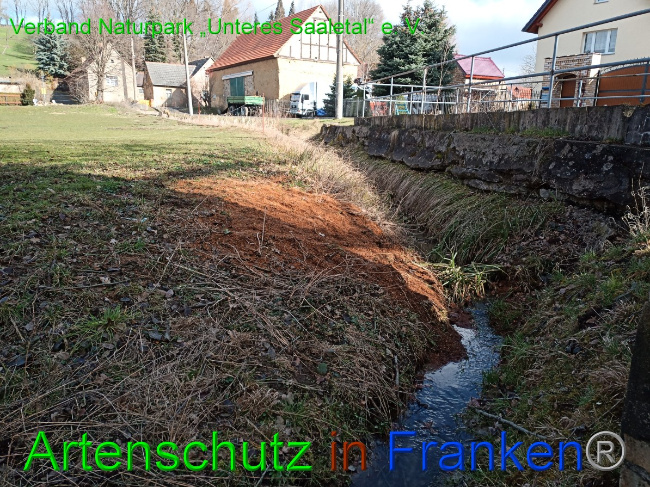 © Artenschutz in Franken® / Verband Naturpark „Unteres Saaletal“ e. V. Bild zum Eintrag (1046833-160)