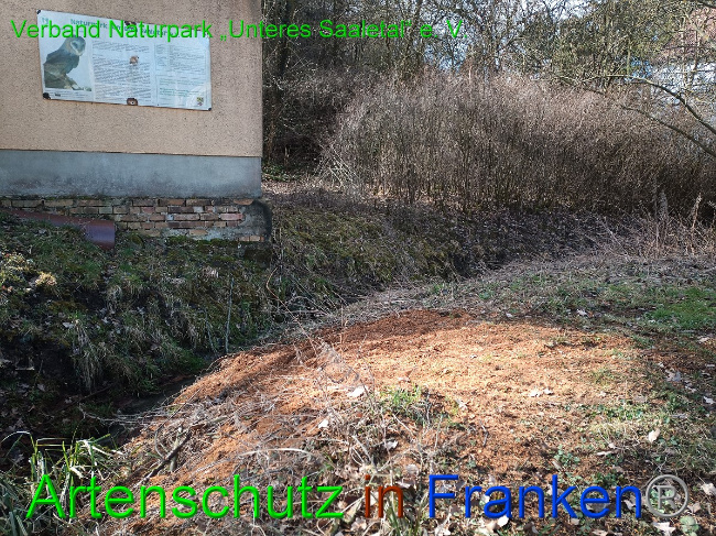 © Artenschutz in Franken® / Verband Naturpark „Unteres Saaletal“ e. V. Bild zum Eintrag (1046835-160)
