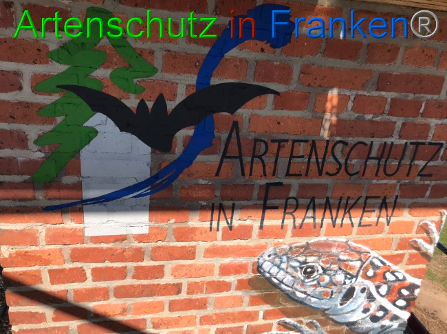 Bild zum Eintrag (1047158-160)