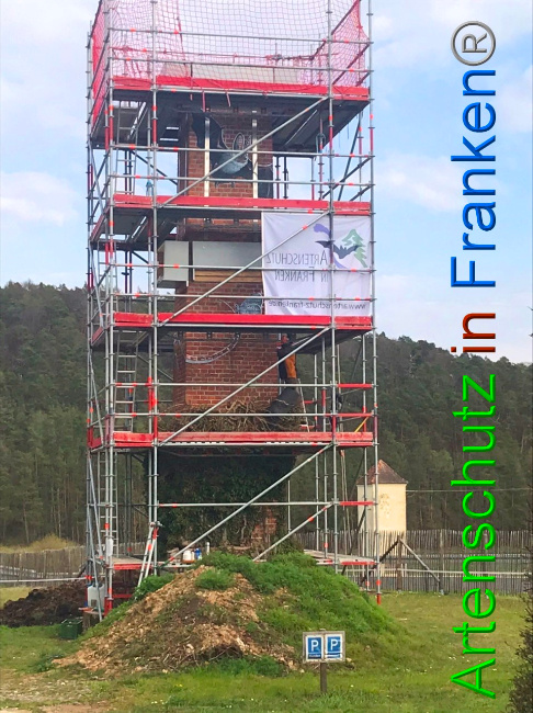 © Artenschutz in Franken® Bild zum Eintrag (1047170-160)