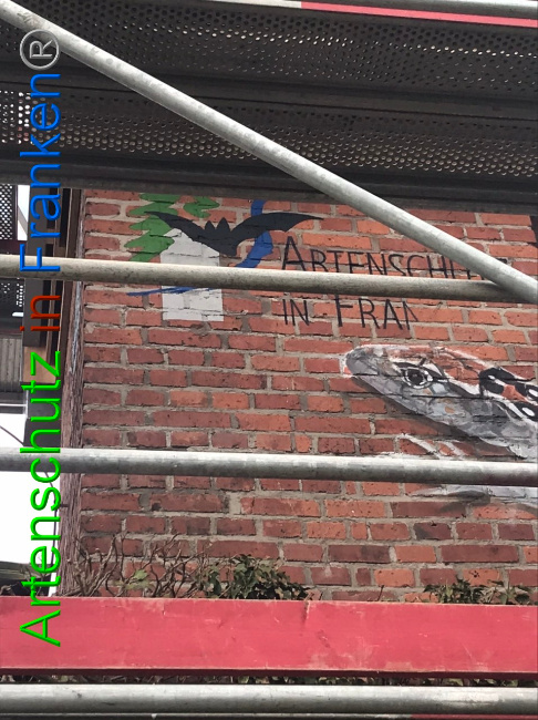 © Artenschutz in Franken® Bild zum Eintrag (1047172-160)