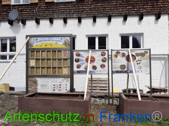 © Artenschutz in Franken® Bild zum Eintrag (1047188-160)