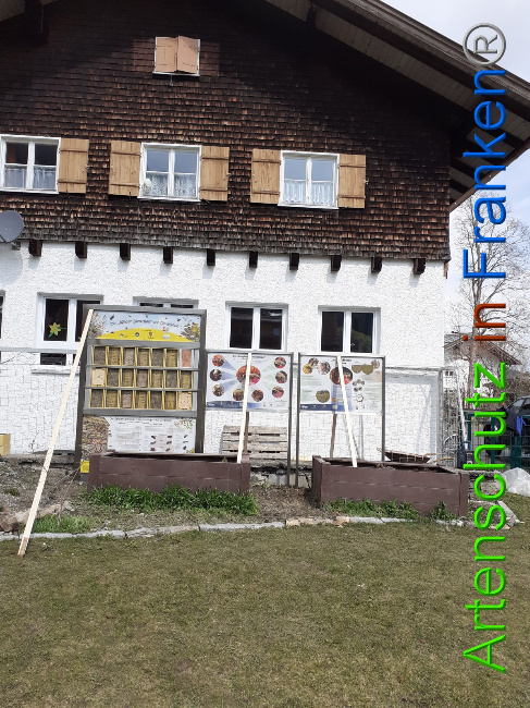 © Artenschutz in Franken® Bild zum Eintrag (1047189-160)
