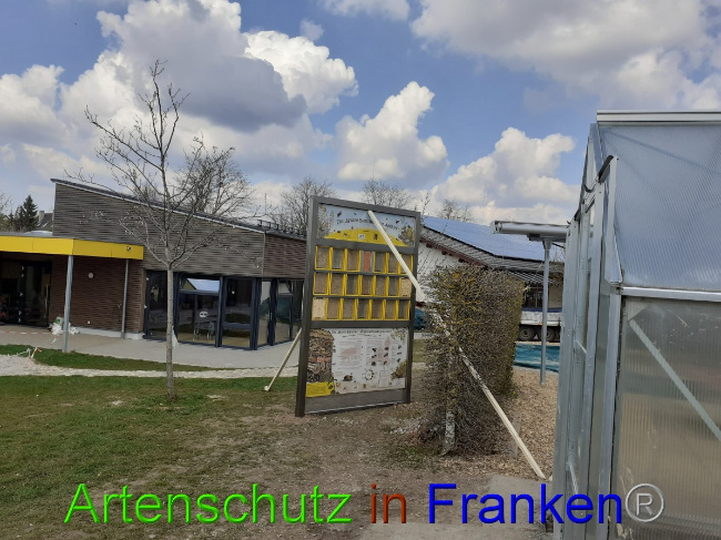 © Artenschutz in Franken® Bild zum Eintrag (1047241-160)