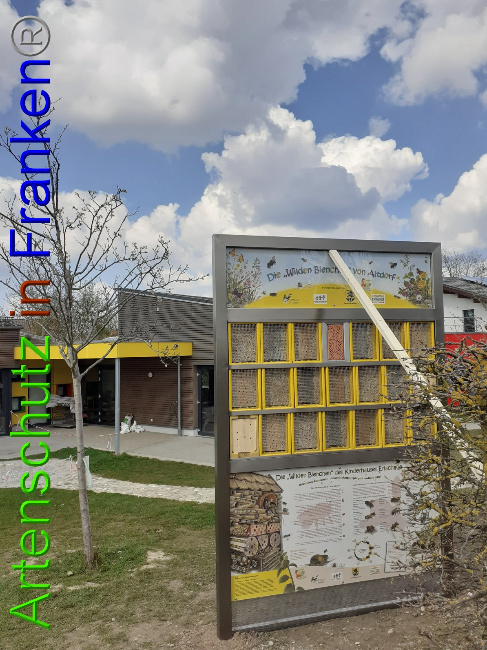 © Artenschutz in Franken® Bild zum Eintrag (1047243-160)