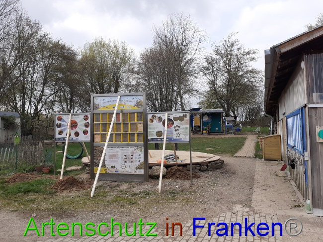 © Artenschutz in Franken® Bild zum Eintrag (1047251-160)