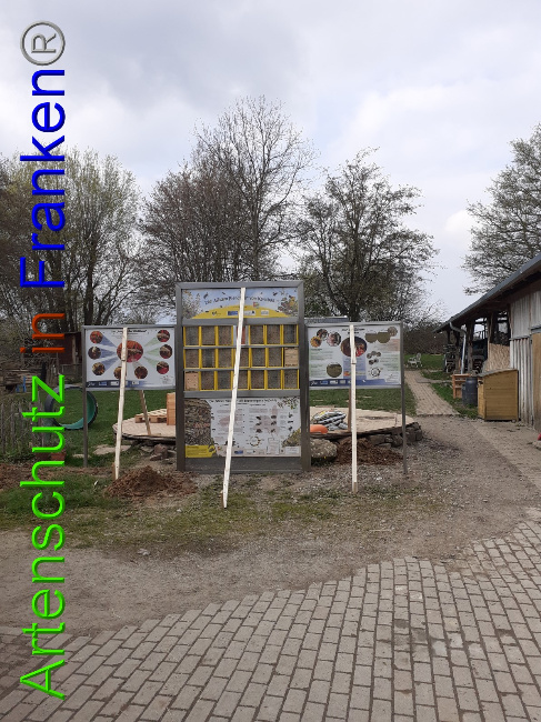© Artenschutz in Franken® Bild zum Eintrag (1047252-160)