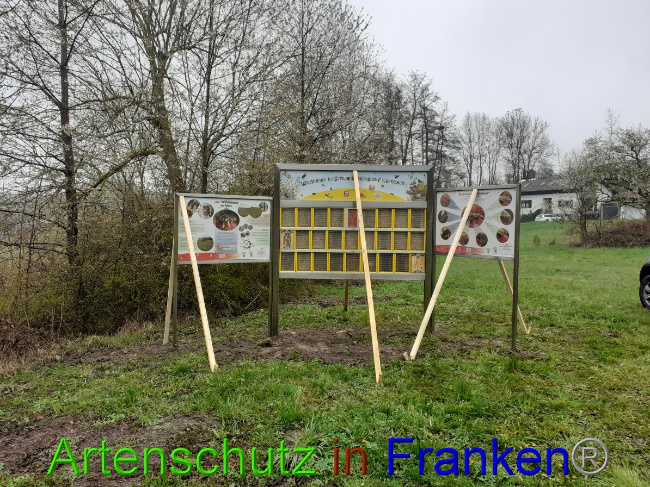 © Artenschutz in Franken® Bild zum Eintrag (1047258-160)