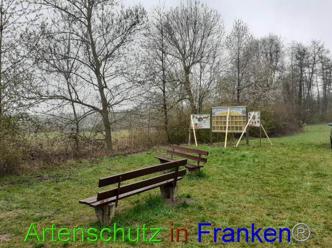 © Artenschutz in Franken® Bild zum Eintrag (1047260-160)