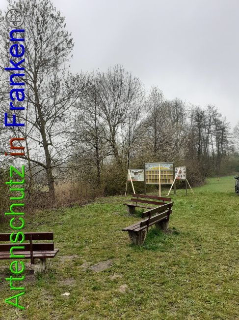 © Artenschutz in Franken® Bild zum Eintrag (1047261-160)