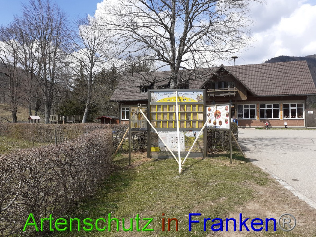 © Artenschutz in Franken® Bild zum Eintrag (1047267-160)