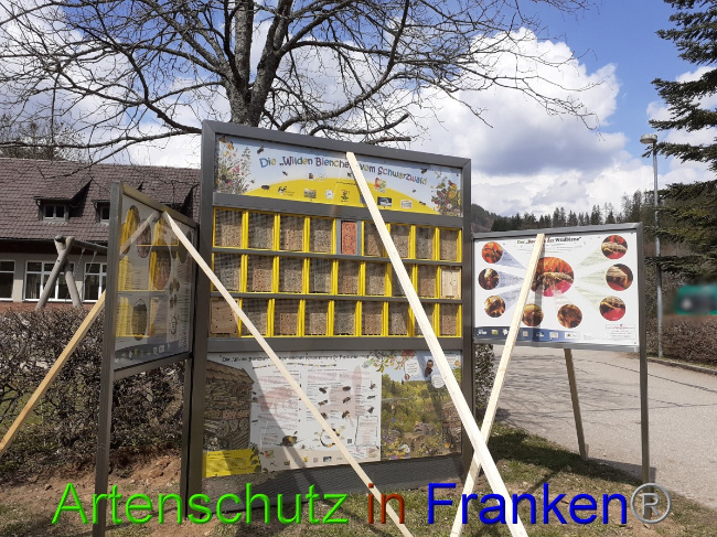 © Artenschutz in Franken® Bild zum Eintrag (1047268-160)