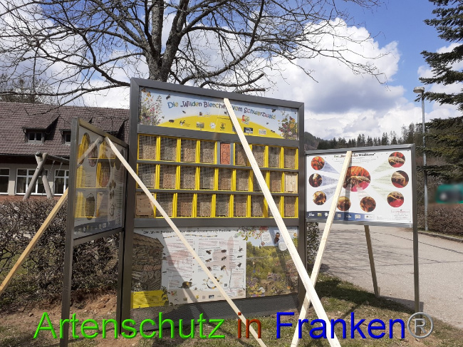 Bild zum Eintrag (1047268-160)