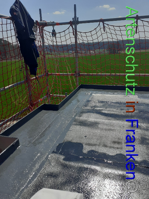 © Artenschutz in Franken® Bild zum Eintrag (1047522-160)