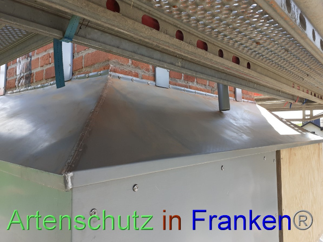 © Artenschutz in Franken® Bild zum Eintrag (1047535-160)