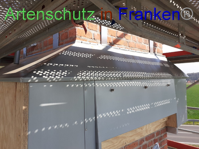 © Artenschutz in Franken® Bild zum Eintrag (1047536-160)