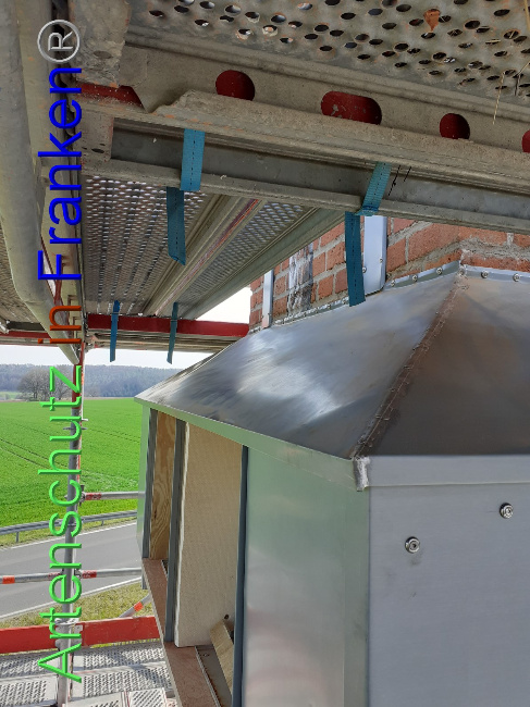 © Artenschutz in Franken® Bild zum Eintrag (1047538-160)