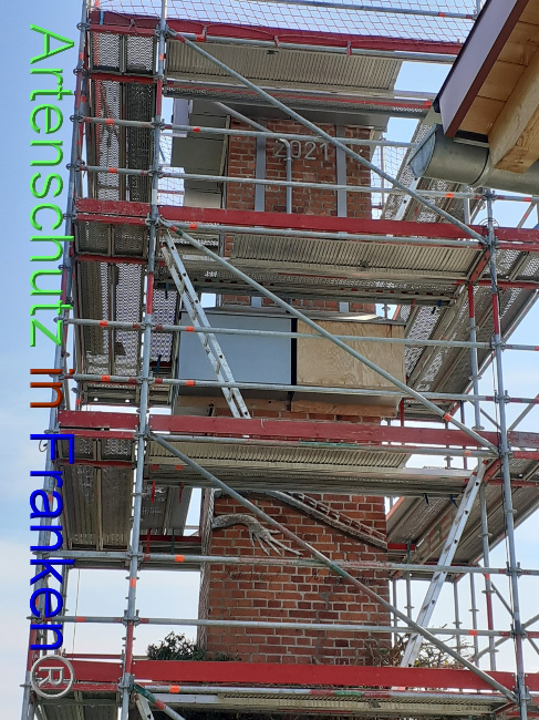 © Artenschutz in Franken® Bild zum Eintrag (1047541-160)