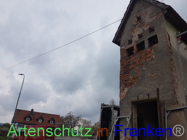 © Artenschutz in Franken® Bild zum Eintrag (1047565-160)
