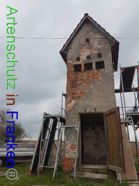 © Artenschutz in Franken® Bild zum Eintrag (1047566-160)