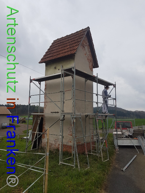 © Artenschutz in Franken® Bild zum Eintrag (1047567-160)