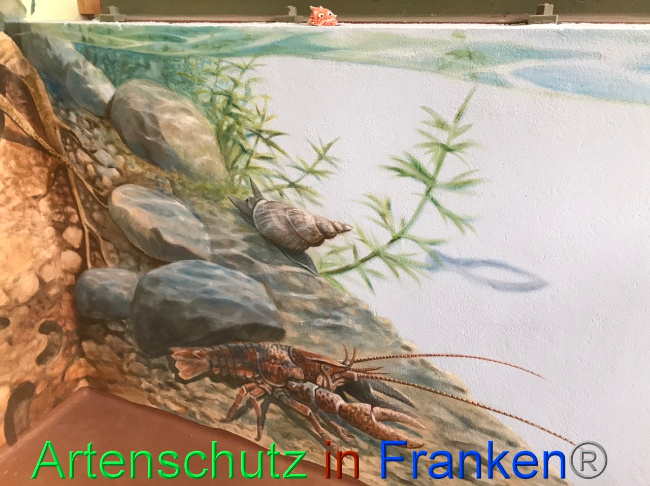 © Artenschutz in Franken® Bild zum Eintrag (1047652-160)