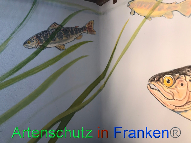 © Artenschutz in Franken® Bild zum Eintrag (1047653-160)