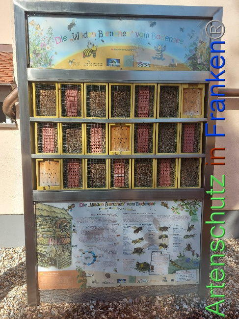 © Artenschutz in Franken® Bild zum Eintrag (1047667-160)