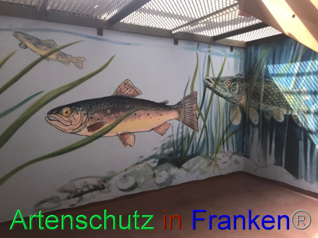 © Artenschutz in Franken® Bild zum Eintrag (1047718-160)