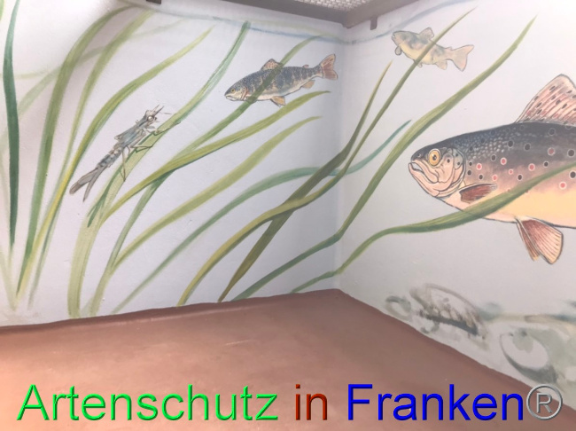 © Artenschutz in Franken® Bild zum Eintrag (1047719-160)