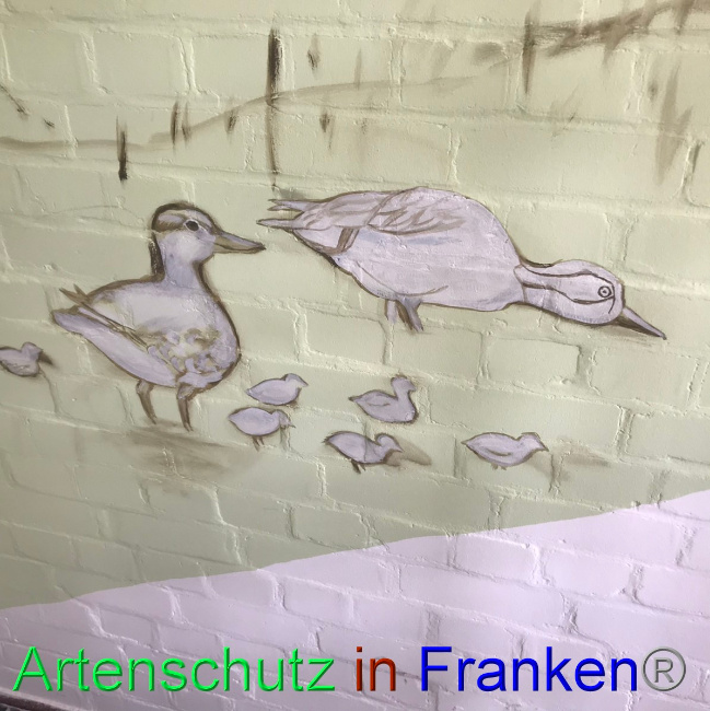 © Artenschutz in Franken® Bild zum Eintrag (1047722-160)