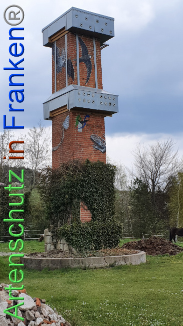 © Artenschutz in Franken® Bild zum Eintrag (1047863-160)