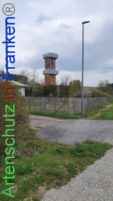 © Artenschutz in Franken® Bild zum Eintrag (1047864-160)