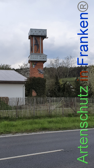 © Artenschutz in Franken® Bild zum Eintrag (1047869-160)