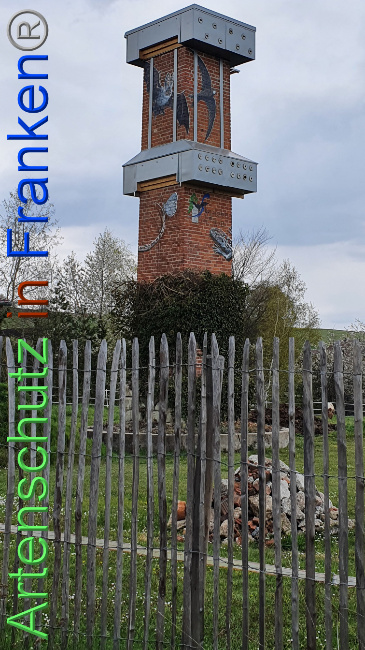 © Artenschutz in Franken® Bild zum Eintrag (1047870-160)