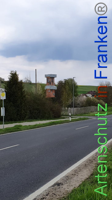 © Artenschutz in Franken® Bild zum Eintrag (1047871-160)