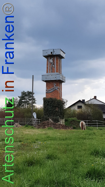 Bild zum Eintrag (1047878-160)