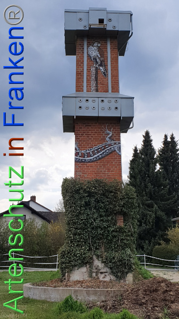 © Artenschutz in Franken® Bild zum Eintrag (1047883-160)
