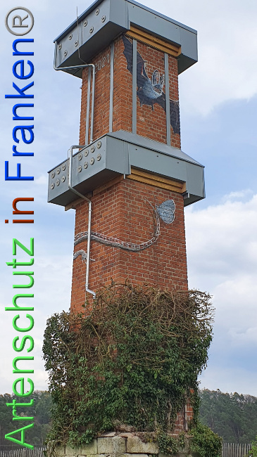 © Artenschutz in Franken® Bild zum Eintrag (1047884-160)