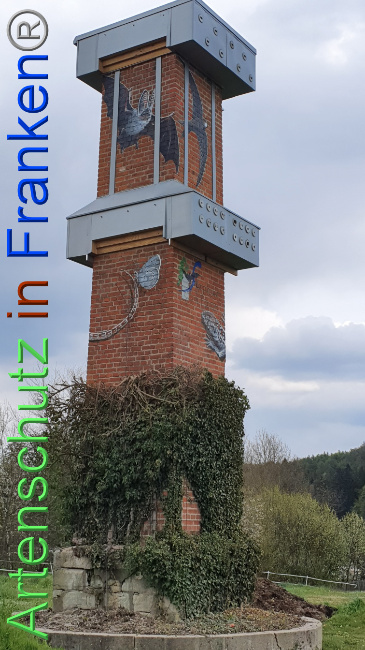 © Artenschutz in Franken® Bild zum Eintrag (1047885-160)