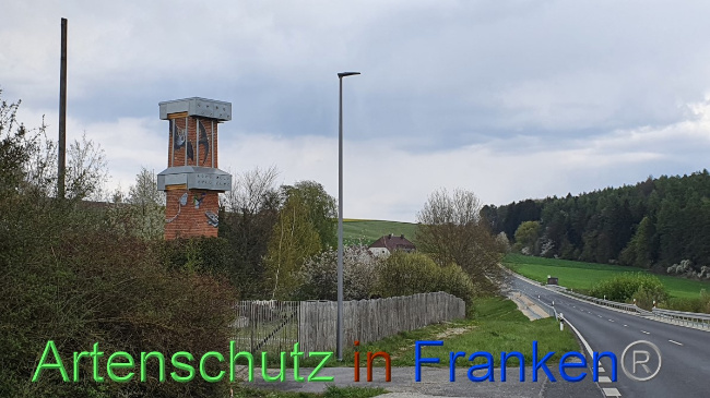 © Artenschutz in Franken® Bild zum Eintrag (1047888-160)