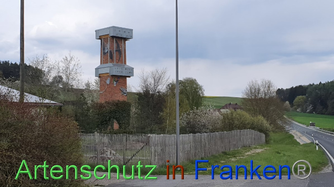 © Artenschutz in Franken® Bild zum Eintrag (1047889-160)