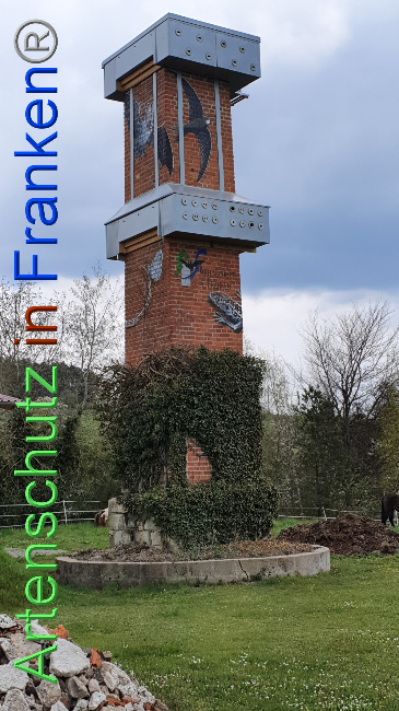 © Artenschutz in Franken® Bild zum Eintrag (1047890-160)