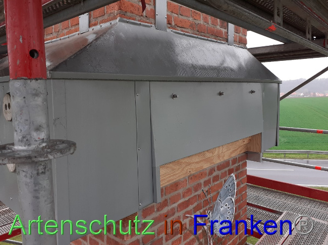 © Artenschutz in Franken® Bild zum Eintrag (1047948-160)