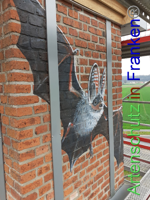 © Artenschutz in Franken® Bild zum Eintrag (1047952-160)