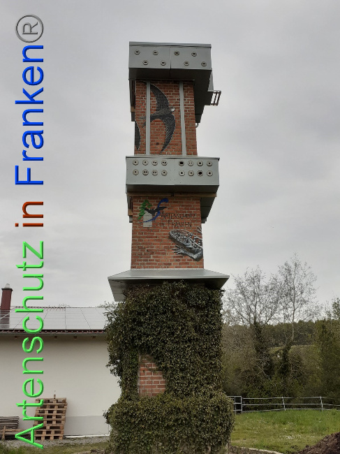 © Artenschutz in Franken® Bild zum Eintrag (1048206-160)