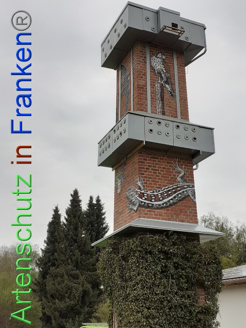 © Artenschutz in Franken® Bild zum Eintrag (1048207-160)